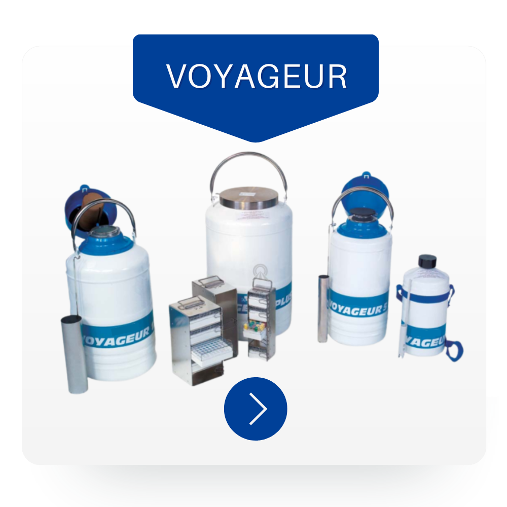 VOYAGEUR